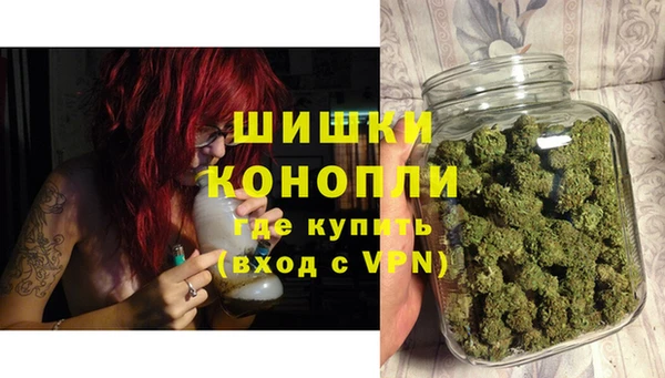 МДПВ Липки
