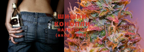 МДПВ Липки