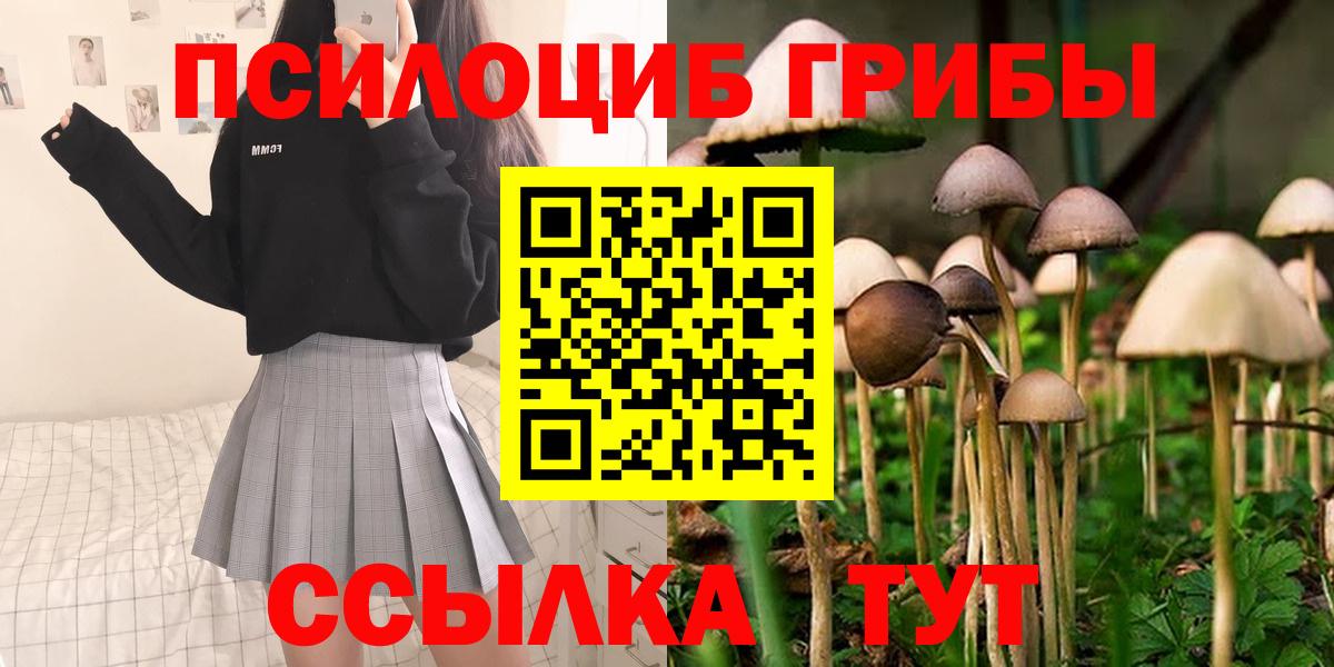 Галлюциногенные грибы Magic Shrooms Ухта